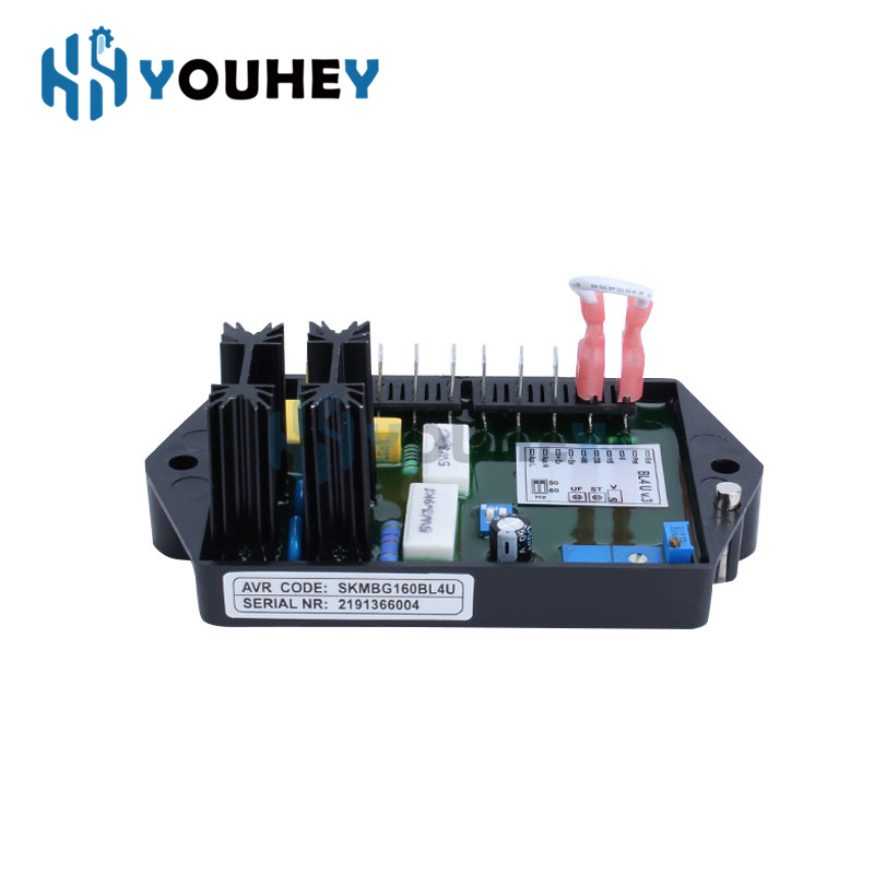 BL4U AVR BL4-U منظم جهد كهربائ - مراجعة Cycloidal Reducer Bldc Motor وسعره